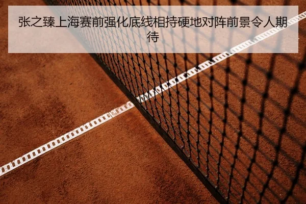 张之臻上海赛前强化底线相持硬地对阵前景令人期待